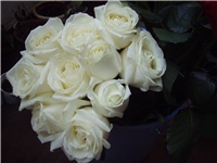 bfbb927e-Picture 325.jpg